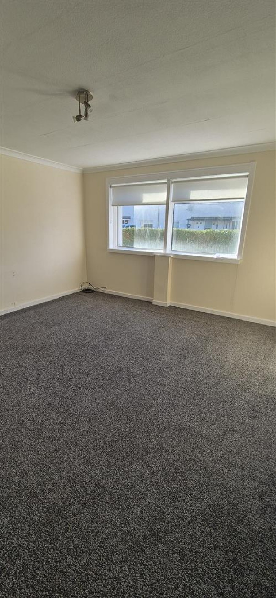 Images for 47 Hunter Drive, Irvine EAID:hoveparklettingsapi BID:1