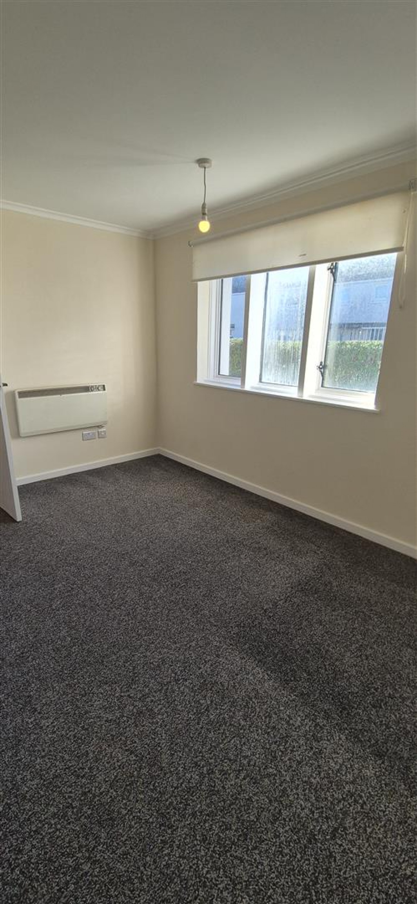 Images for 47 Hunter Drive, Irvine EAID:hoveparklettingsapi BID:1